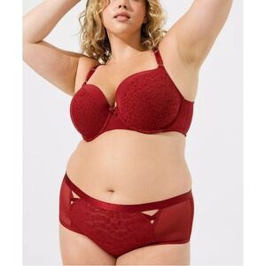 Torrid Women's Rhubarb Animal Lace Mid Rise Cheeky Panty‎ Size 5X